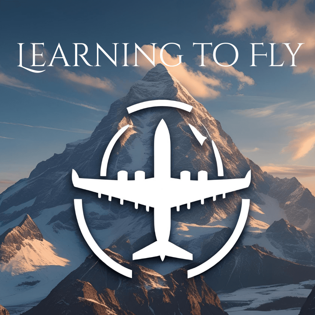 Learning to Fly